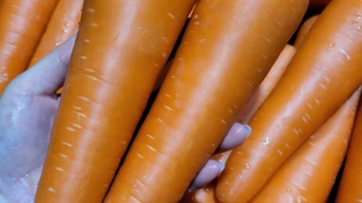 🥕내 인생템 당근세척당근 후기! 할인 꿀팁까지 몽땅 공개🎁