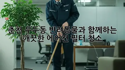 춘천 우두동 반려동물과 함께하는 깨끗한 에어컨 필터 청소