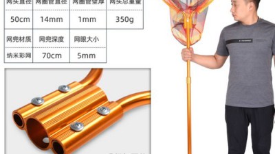 대박! 저수지붕어낚시 필수템 🎣 특가 + 솔직 후기